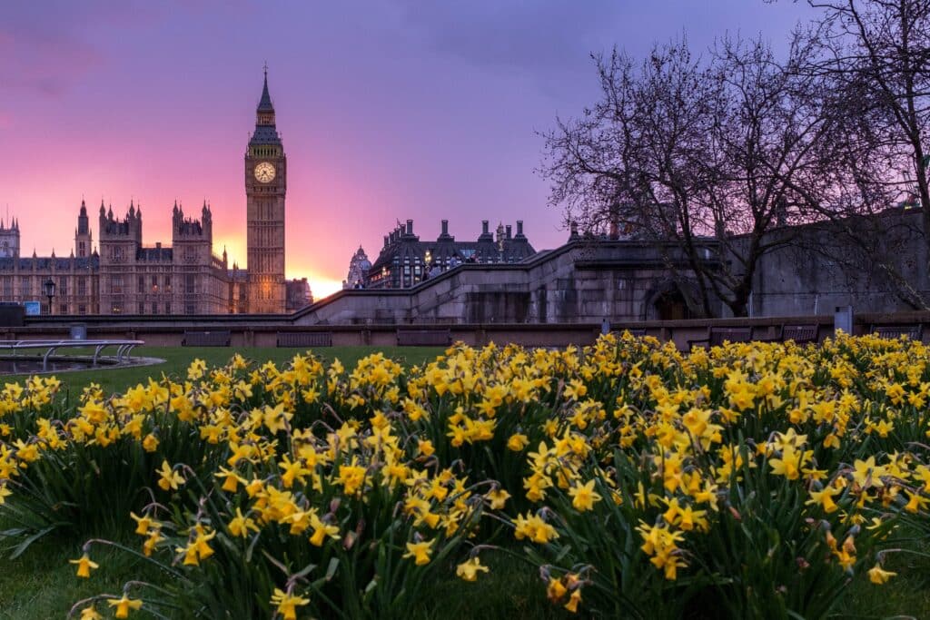 Hilesh Chavda comments on Dividend Tax increase in Daily Express