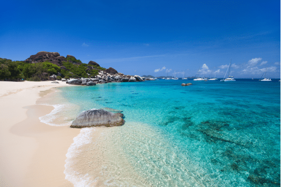 Seamless Succession: Alternative Tools for BVI Companies to Bypass Probate