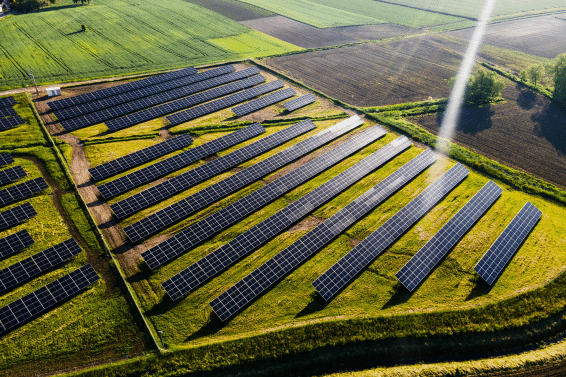 Can Tech and Climate Goals Coexist? The Law May Be the Bridge