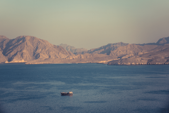 Gagan Ranu on Strait of Hormuz Disruption